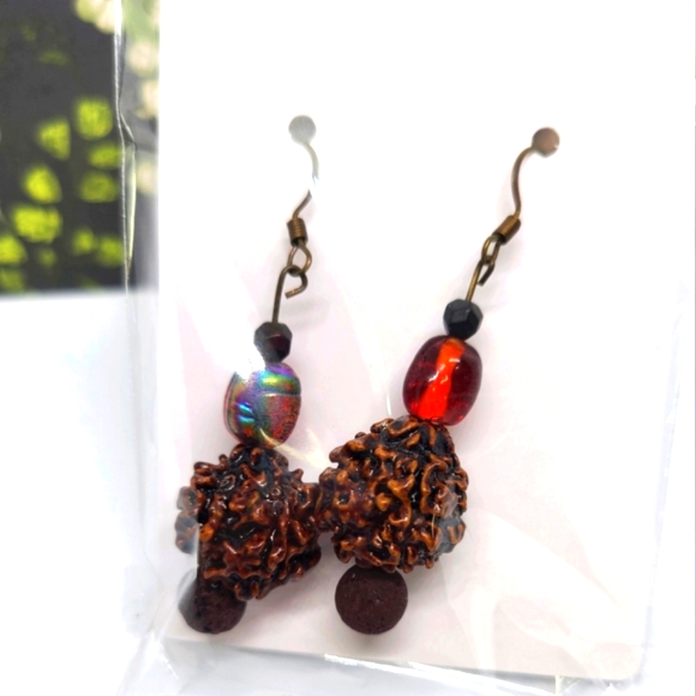 🆕️ OOAK Natural Seed Earrings A1